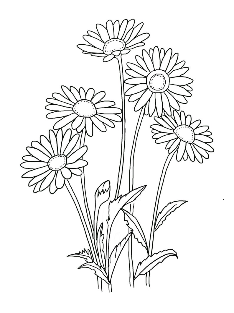May include: A black and white line drawing of a bouquet of five daisies with stems and leaves.