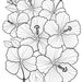 Floral Printable Coloring Sheets Coloring Pages Adult Coloring Pages ...