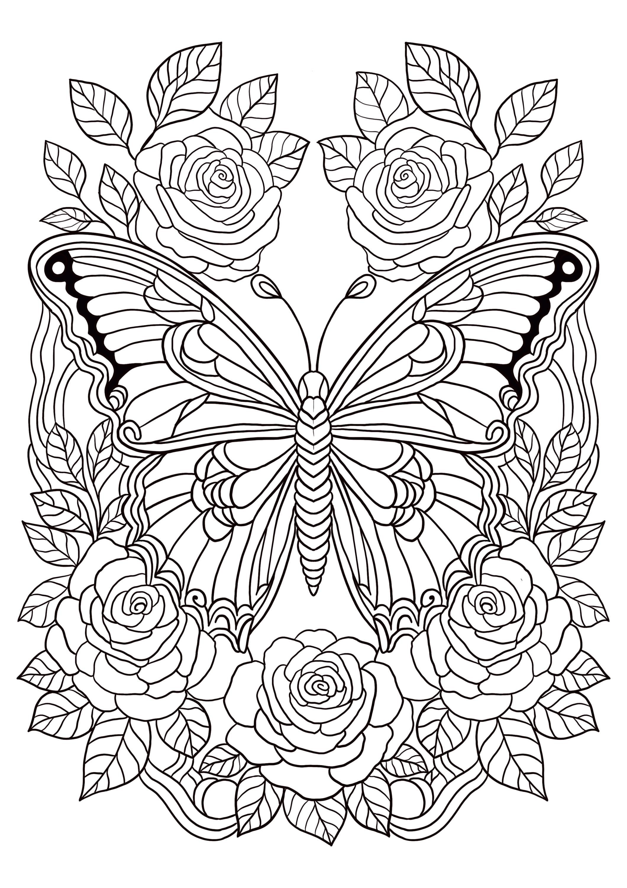 Butterfly Floral Coloring Pages, 4 Sheet Printable (PDF) - Etsy, image size:2120x3000