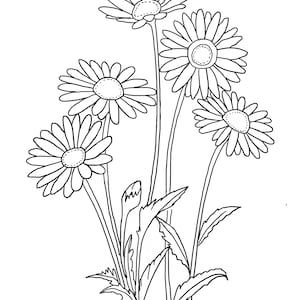 May include: A black and white line drawing of a bouquet of five daisies with stems and leaves.