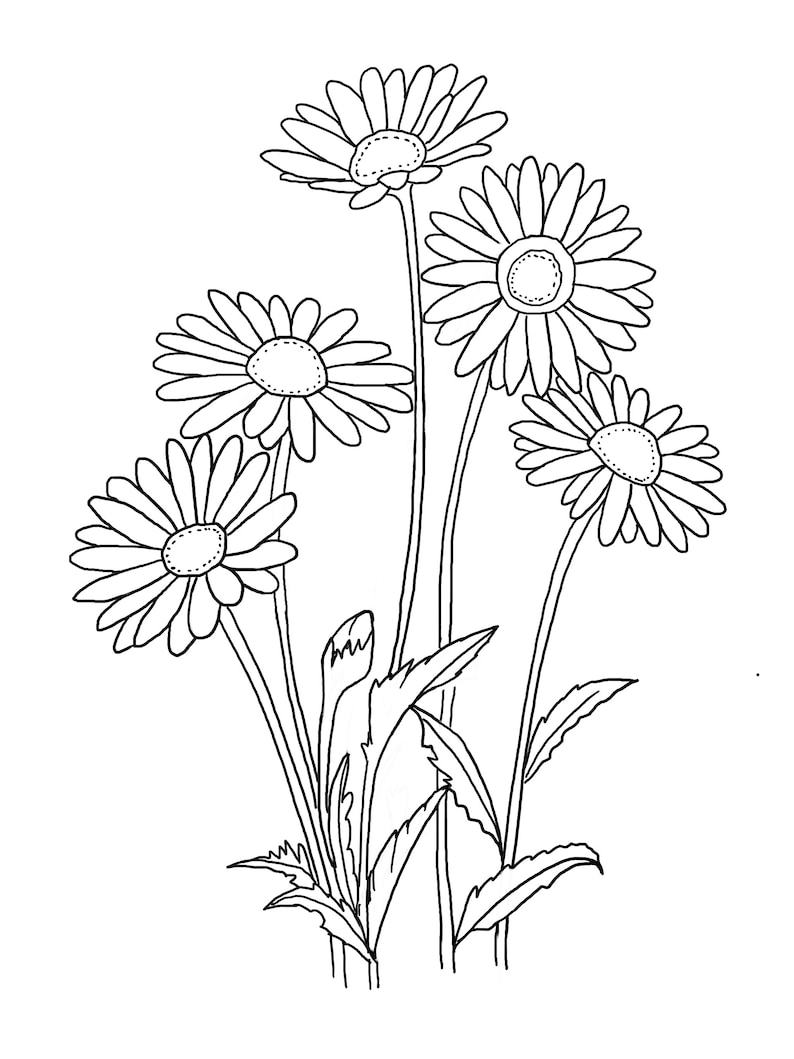 May include: A black and white line drawing of a bouquet of five daisies with stems and leaves.