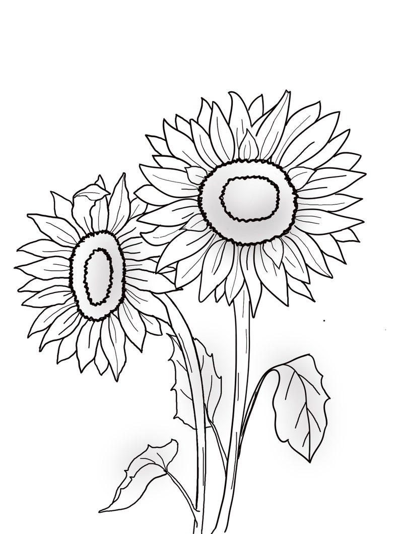 Printable Floral coloring sheets coloring pages adult coloring pages kids coloring pages coloring flowers image 4