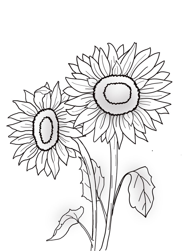 May include: A black and white line drawing of two sunflowers with stems and leaves.