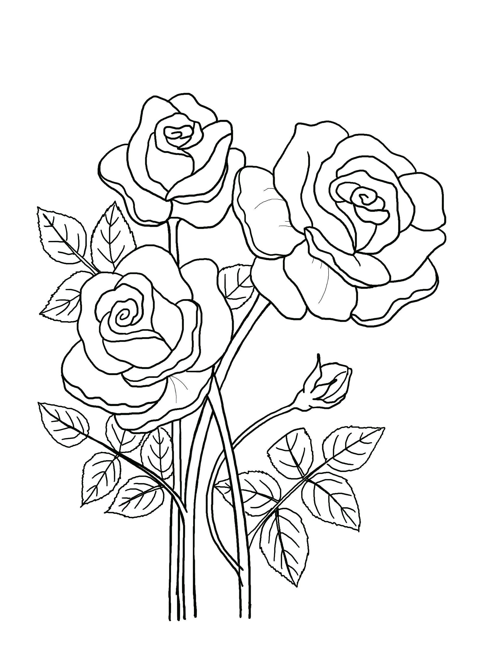 Flower Coloring Sheets