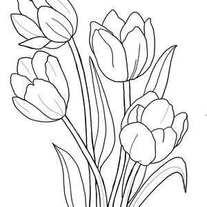 May include: A line drawing of a bouquet of four tulips with long stems and leaves.