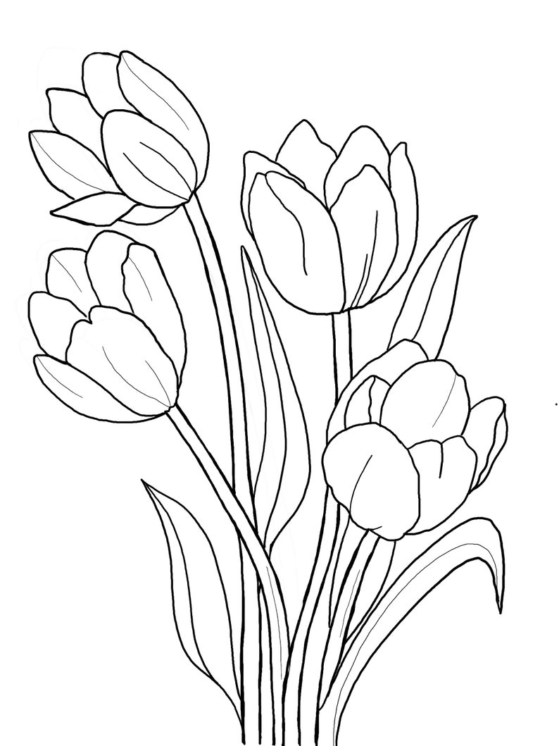 May include: A line drawing of a bouquet of four tulips with long stems and leaves.