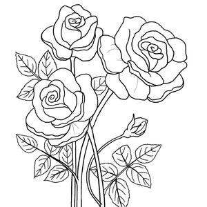May include: A black and white line drawing of three roses with stems and leaves.