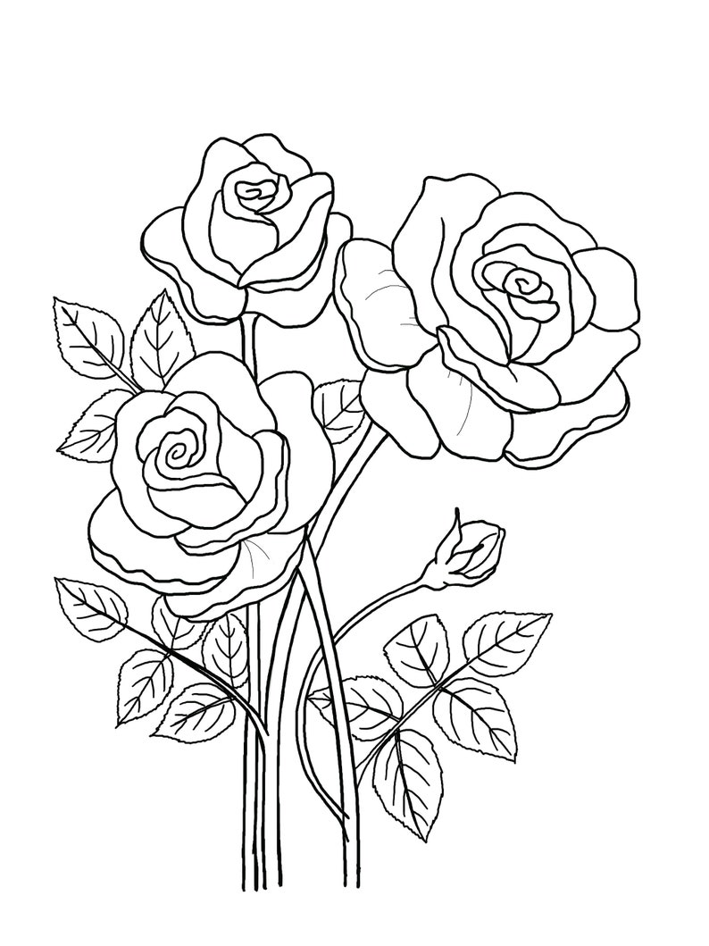 May include: A black and white line drawing of three roses with stems and leaves.