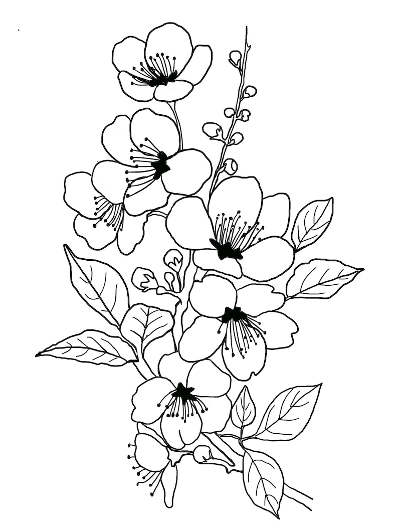 floral-printable-coloring-sheets-coloring-pages-adult-coloring-pages