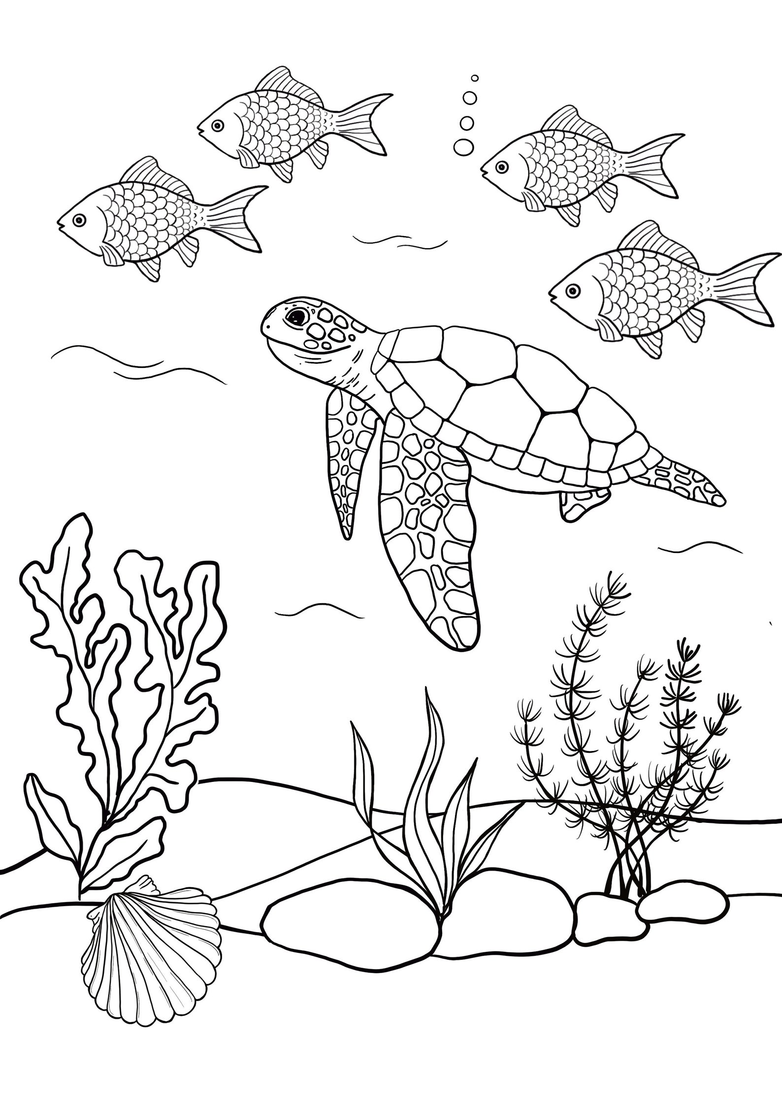 Beautiful Underwater Sea Life Printable Coloring Sheet | Coloring Pages | Kids Coloring Pages ...