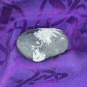 Chrysanthemum Stone