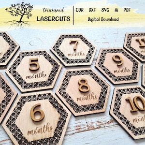 Rattan Milestones SVG, Baby Monthly Milestone Marker Disc, Cane Milestones Digital File, Cane Svg, Glowforge Rattan Pattern laser cut dxf
