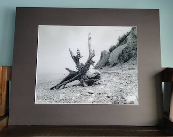 11x14 B/W Beach Treasures #208