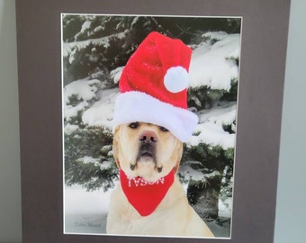 11x14 Serious Santa pup #201