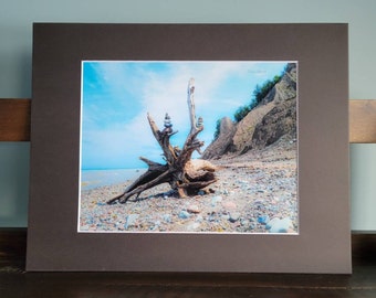 8x10 Beach Treasures #213