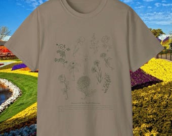 Bocetos de la colección botánica mundial / Ilustración de flores silvestres dibujada a mano