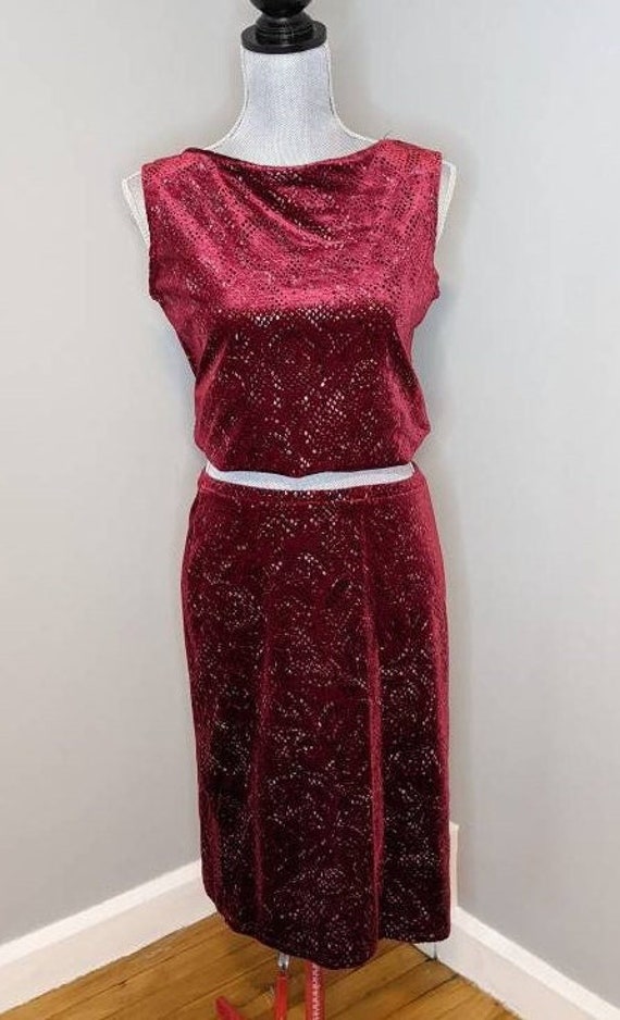 Burgundy Snake Skin Print Velvet Separates Set