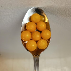 May include: A silver spoon holding nine small, round, yellow cherry tomatoes. The tomatoes are packed closely together in the spoon's bowl, reflecting the light. The spoon is held by a hand, with a plain background.