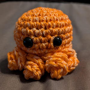 Kattenkruidoctopus