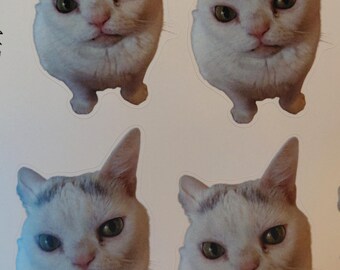 Naklejki Widget Heckin Stare!