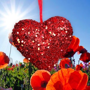 May include: A large, glittery red heart ornament suspended by a red ribbon against a bright blue sky. The heart is surrounded by vibrant red poppies and other wildflowers in a sunny field.