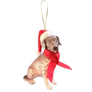 May include: A decorative dog ornament with a Santa hat and red scarf. The dog is brown with white spots and has a gold string for hanging. The hat has a white trim and a white pom-pom.