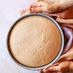 Japanese Sponge Cake Recipe: Easy Baking (Digital Download)