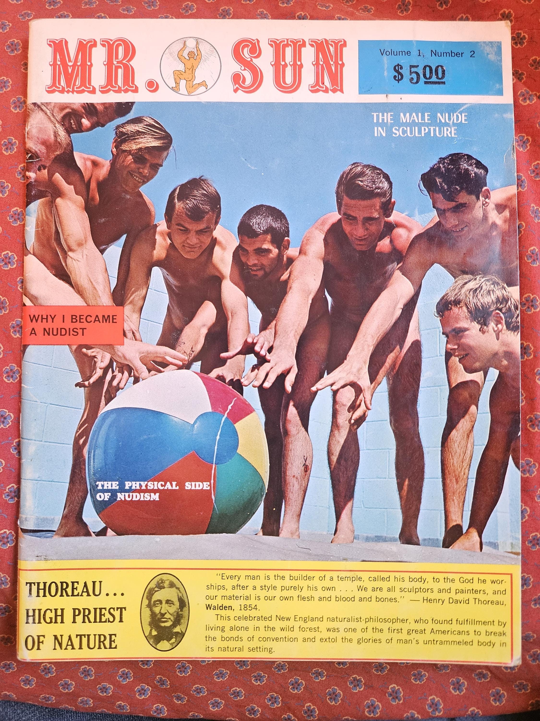   sonnenfreunde  nudist  boy 