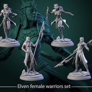 Peinta 3D - High quality 3D resin printing from Peinta 3D - Resin figurine to paint, The Young Blood universe from Wwt - Elven