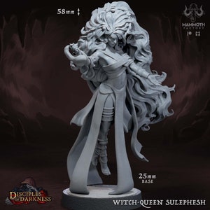 May include: Gray plastic miniature figurine of a witch queen with long flowing hair and a flowing robe. The figurine is 58 mm tall and stands on a 25 mm base. The text "Witch-Queen Sulepesh" is printed on the base.