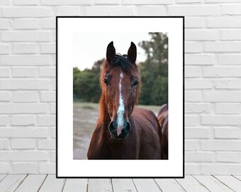 Arte della parete del cavallo stampabile, arte moderna del cavallo Boho, arte occidentale, fotografia di cavalli, decorazione della parete del cavallo, arte rustica