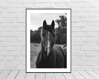 Arte della parete del cavallo stampabile, arte moderna del cavallo Boho, arte occidentale, fotografia di cavalli, decorazione della parete del cavallo, arte rustica