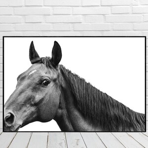 Druckbare Pferde Wandkunst, Rodeo Pferd, moderne Pferdekunst, Pferd Kunstdruck, Pferdefotografie, Pferdedekor, Mustang Art