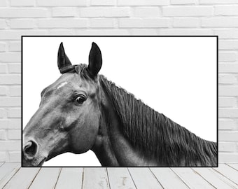 Arte della parete cavallo stampabile, cavallo da rodeo, arte moderna del cavallo, stampa d'arte del cavallo, fotografia di cavalli, decorazione del cavallo, arte Mustang