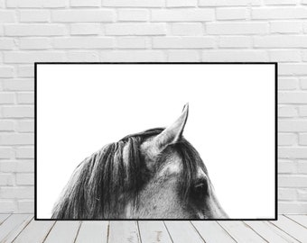 Printable Horse Wall Art, Modern Boho Horse Art, Western Art, Arabian Horse Photography, Horse Wall Decor, Rustic Art