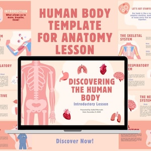 Presentazione CANVA Illustrato Animato Giocoso per Lezione Corpo Umano, Insegnanti, Scuola, Lezioni di Anatomia, Lezioni di Scienze