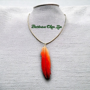 Cadena con Pluma de Loro Legitima Vergulde ketting met Afrikaanse grijze veer