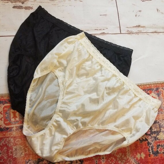 LOT 2 VTG Hanes Silky Sheer Nylon Briefs Panties Black Ivory Etsy