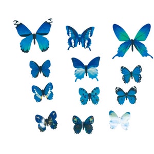 3D Butterfly Wall Stickers Home Decor Room Decoration Sticker Ships from   USA