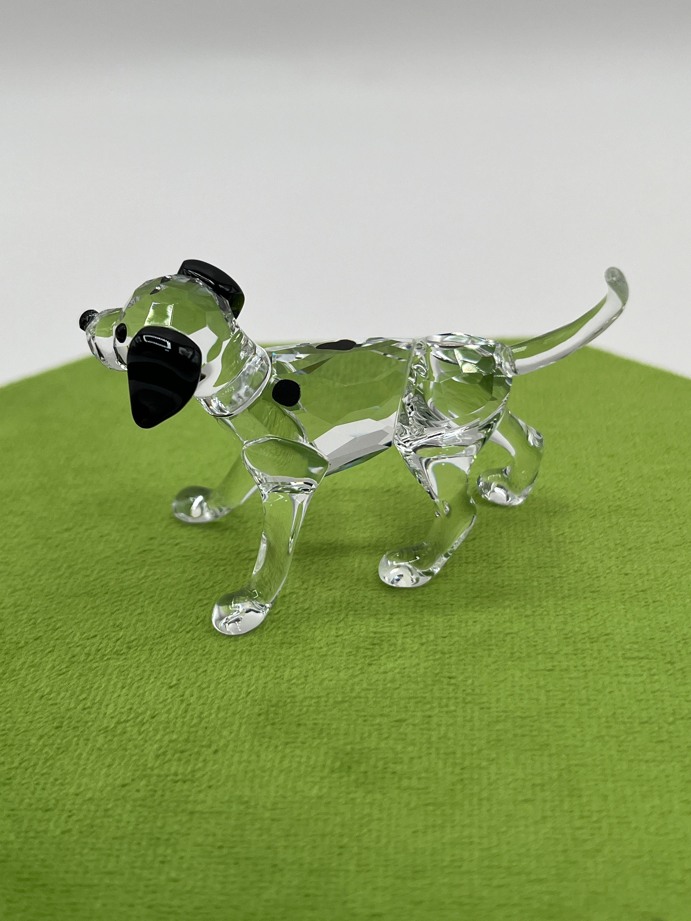 Swarovski Dalmatian Puppy Standing #628947 - Etsy Israel
