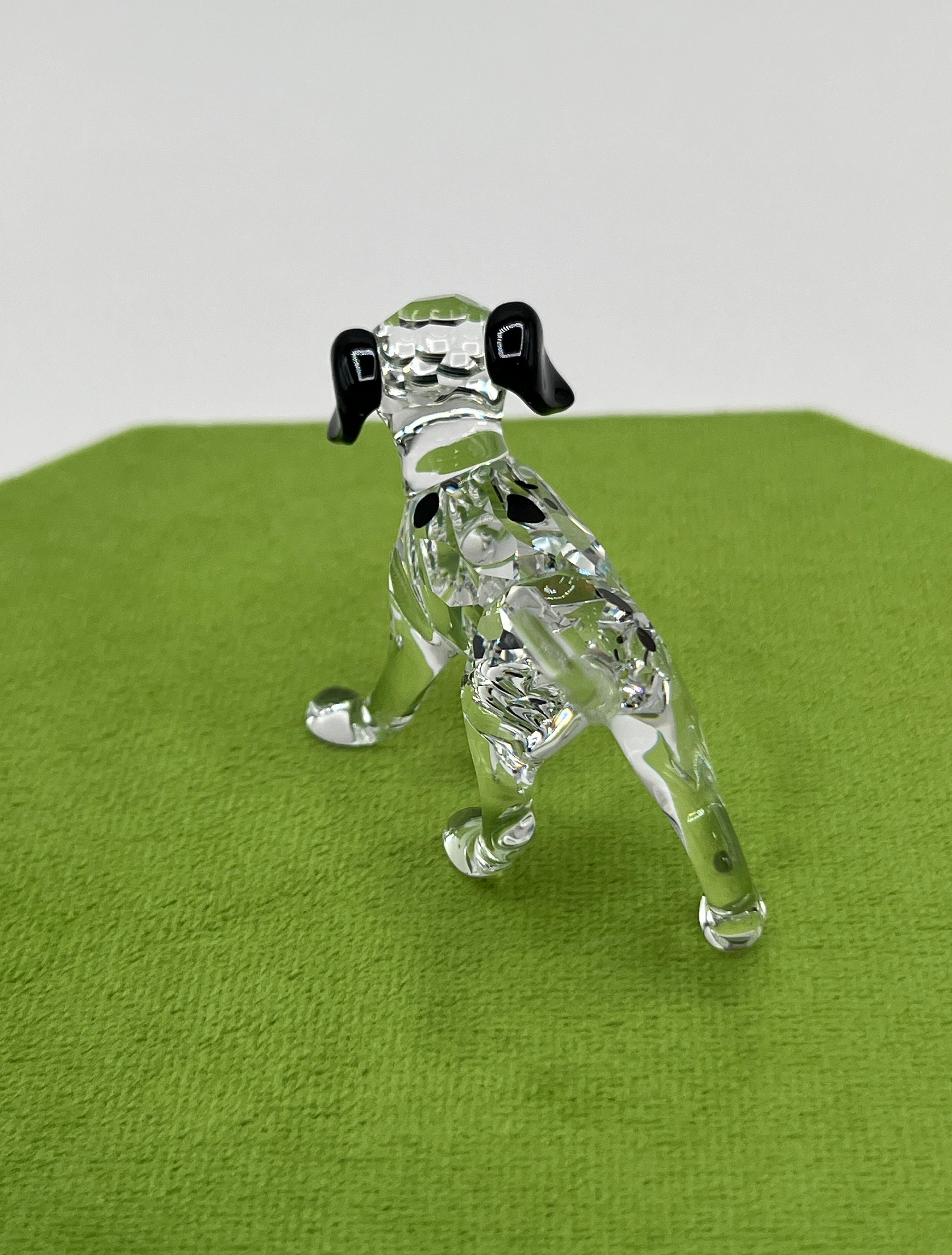 Swarovski Dalmatian Puppy Standing #628947 - Etsy Israel