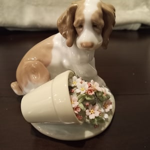 Swarovski Peaceful Countryside Baby Tortoises #56881518 - Etsy