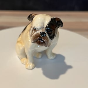 Royal doulton bulldog - Etsy 日本
