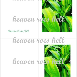 Könnte beinhalten: Eine Grußkarte mit weißem Hintergrund und Bildern von grün-gelben Pflanzen. Der Text "Heaven Rocs Hell" und "Happy Valentine's Day!" sind ebenfalls zu sehen.