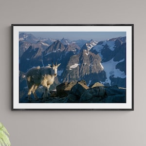 Mountain Goat dans le parc national des North Cascades, glacier Sahale, PNW art, Bellingham Washington