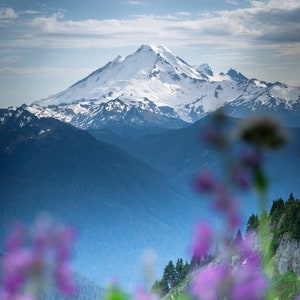 Flores silvestres e impressão fotográfica do Monte Baker, Floresta Nacional, Roxo, Flores, arte PNW, Bellingham Washington, Floresta Nacional Mt Baker Snoqualmie