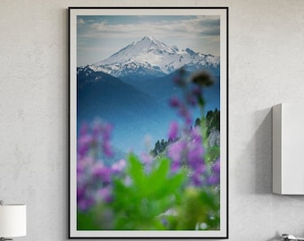 Wildflowers and Mt. Baker Photo Print, National Forest, Purple, Flowers, PNW art, Bellingham Washington, Mt Baker Snoqualmie National Forest