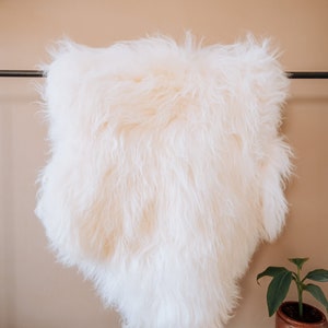 Icelandic Sheepskin XXL 125cm WHITE 100% Real & Natural animal skin for decoration image 3