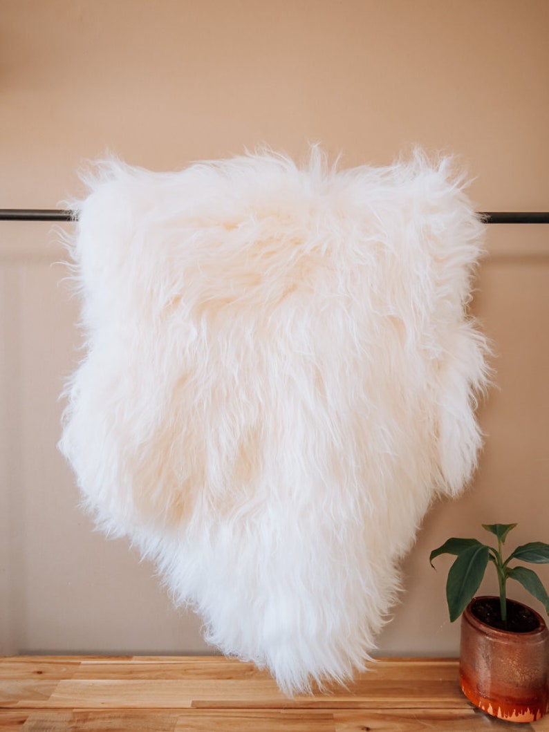 Icelandic Sheepskin XXL 125cm WHITE 100% Real & Natural animal skin for decoration image 3