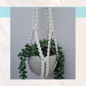 May include: A white macrame plant hanger with a grey pot and green succulent plant. The plant is hanging from the ceiling.